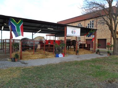 Percheron SA Exhibit